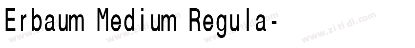 Erbaum Medium Regula字体转换